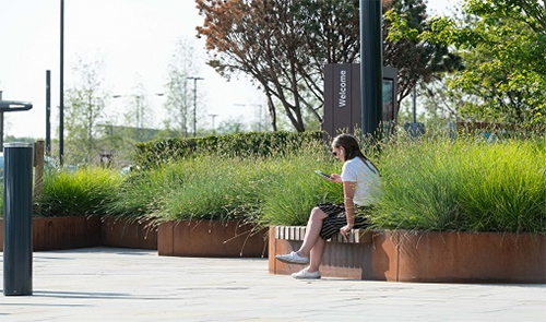 A woman sitting on a bench checking her phone on a sunny day