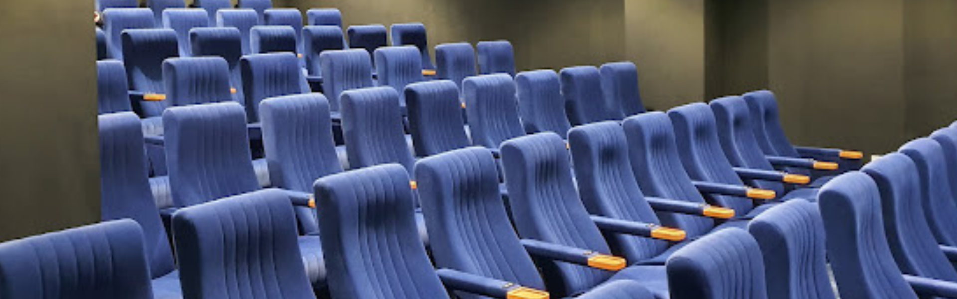 Image inside the cinema theatre at Wellington Orbit.